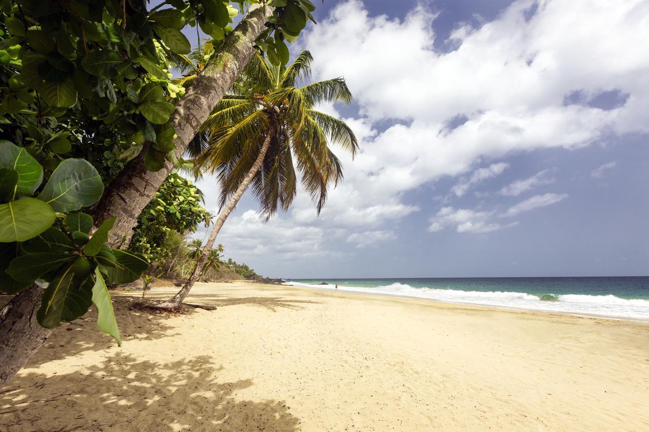 Grafton Beach Resort Black Rock Ngoại thất bức ảnh